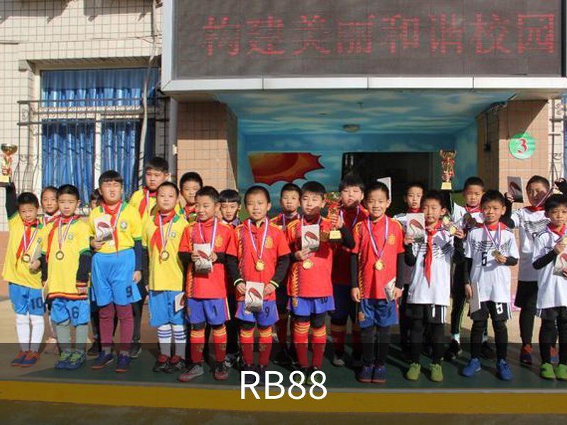 RB88概况